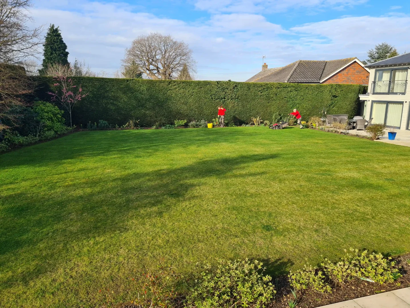 Lawn Care and Maintenance